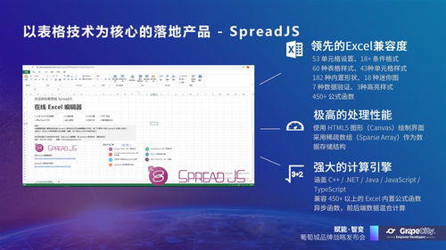 葡萄城发布“赋能开发者”业务使命 聚焦教育软件研发，构筑未来教育新生态